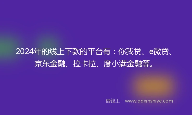 2024年的线上下款的平台有：你我贷、e微贷、京东金融、拉卡拉、度小满金融等。