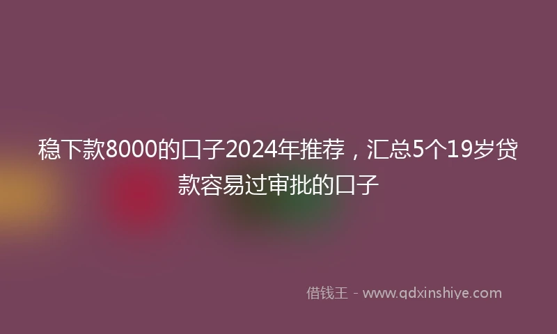 稳下款8000的口子2024年推荐，汇总5个19岁贷款容易过审批的口子