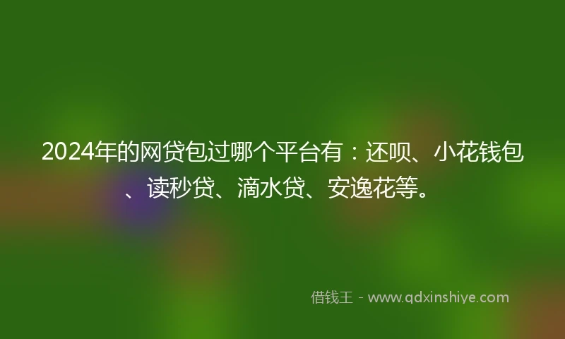2024年的网贷包过哪个平台有：还呗、小花钱包、读秒贷、滴水贷、安逸花等。