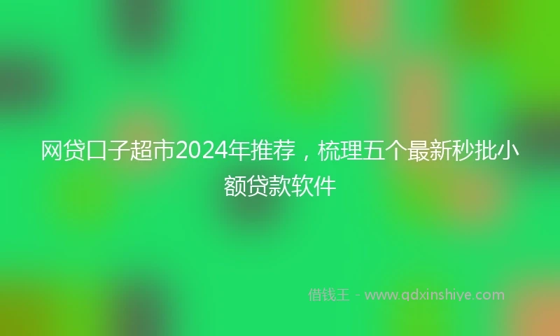 网贷口子超市2024年推荐，梳理五个最新秒批小额贷款软件