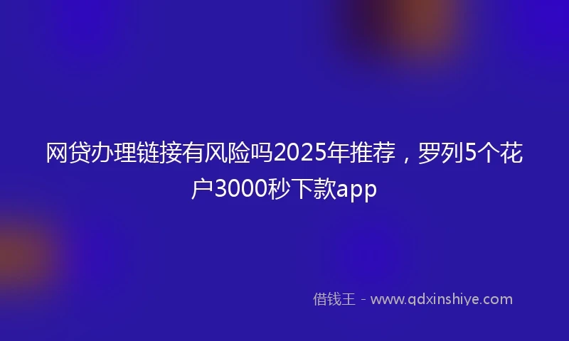 网贷办理链接有风险吗2025年推荐，罗列5个花户3000秒下款app