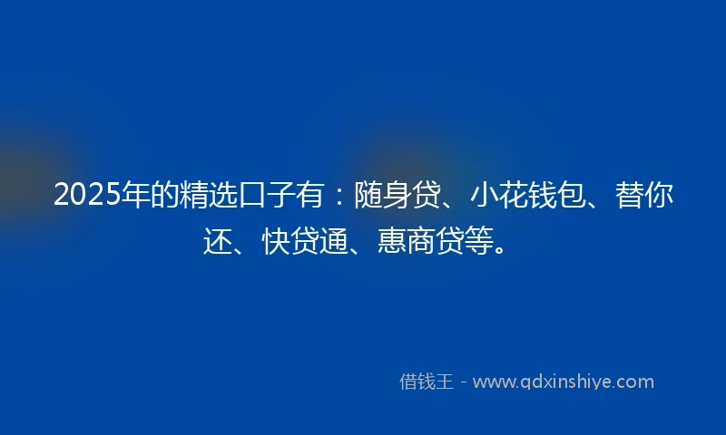 2025年的精选口子有：随身贷、小花钱包、替你还、快贷通、惠商贷等。
