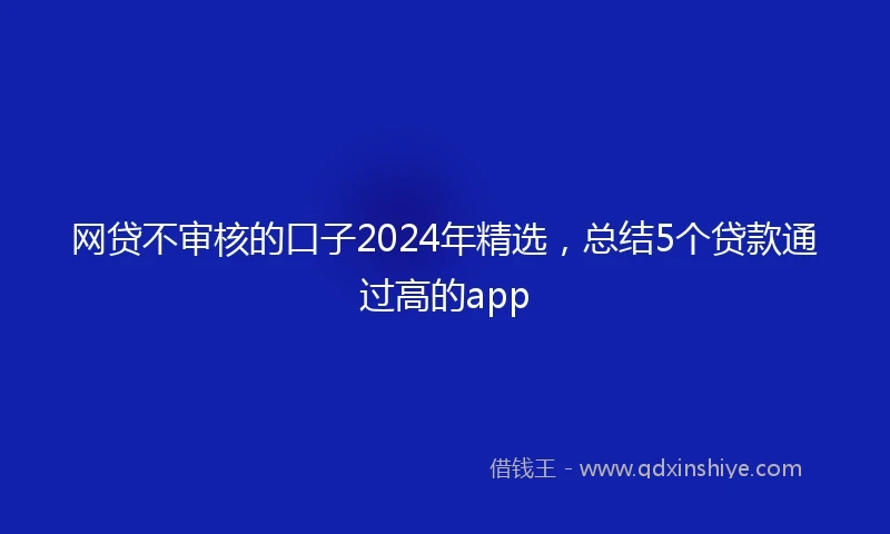 网贷不审核的口子2024年精选，总结5个贷款通过高的app