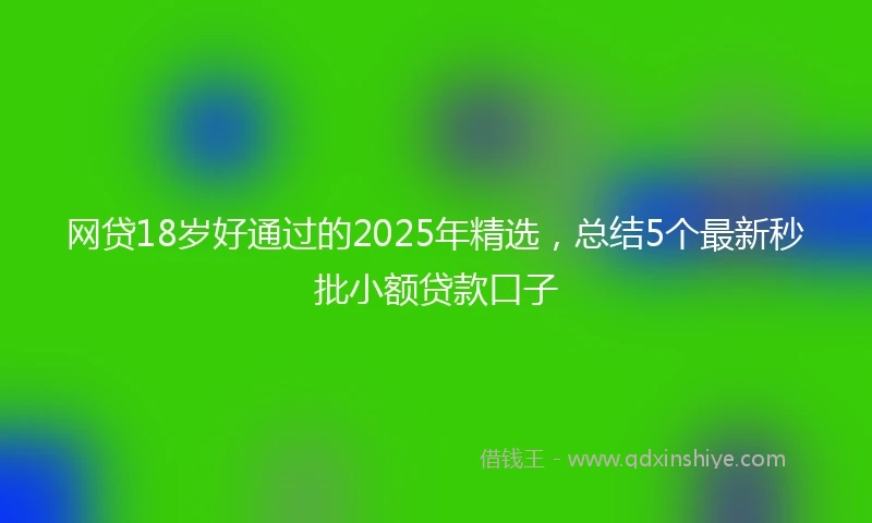 网贷18岁好通过的2025年精选，总结5个最新秒批小额贷款口子