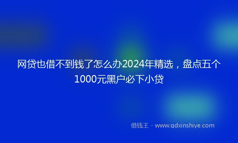 网贷也借不到钱了怎么办2024年精选，盘点五个1000元黑户必下小贷