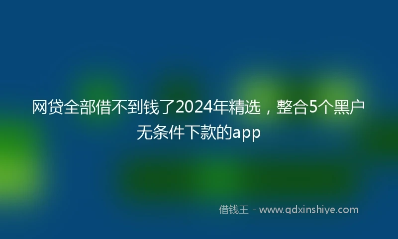 网贷全部借不到钱了2024年精选，整合5个黑户无条件下款的app