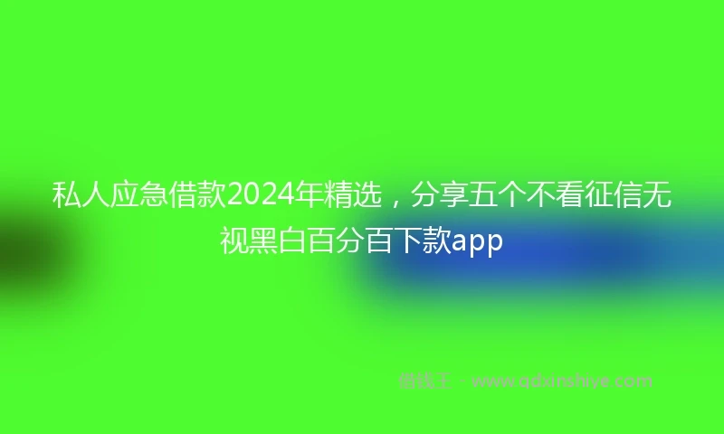 私人应急借款2024年精选，分享五个不看征信无视黑白百分百下款app