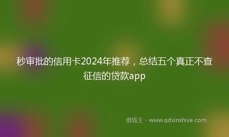 秒审批的信用卡2024年推荐，总结五个真正不查征信的贷款app