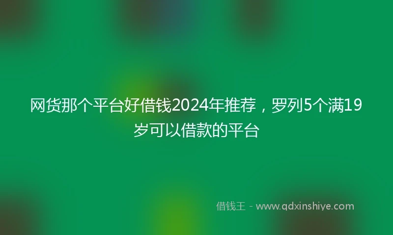 网货那个平台好借钱2024年推荐，罗列5个满19岁可以借款的平台
