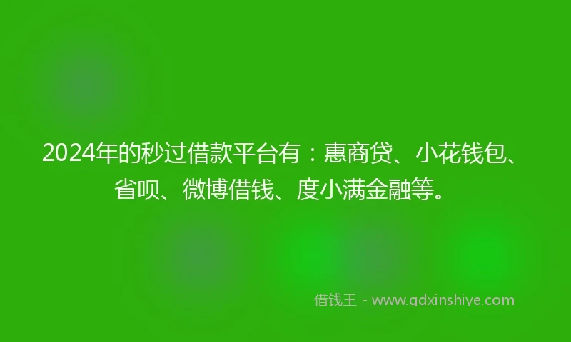 2024年的秒过借款平台有：惠商贷、小花钱包、省呗、微博借钱、度小满金融等。