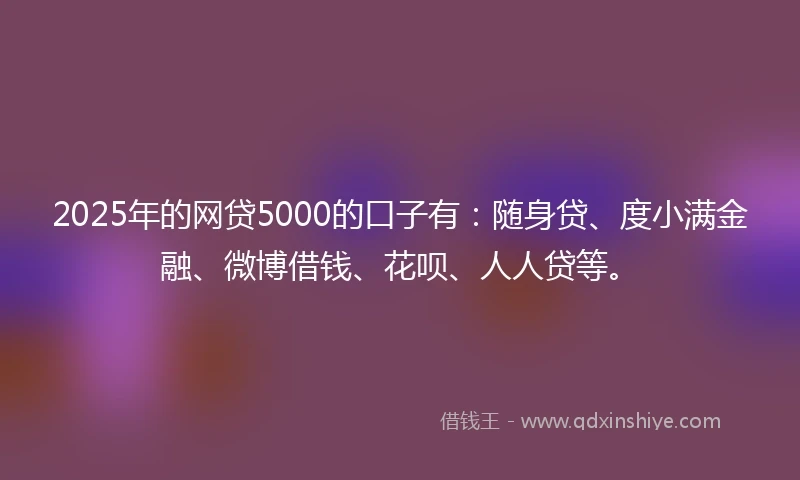 2025年的网贷5000的口子有：随身贷、度小满金融、微博借钱、花呗、人人贷等。