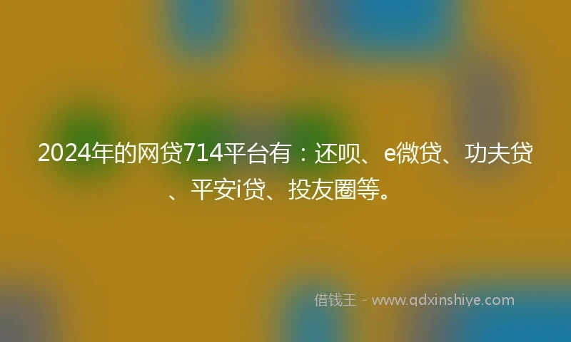 2024年的网贷714平台有：还呗、e微贷、功夫贷、平安i贷、投友圈等。