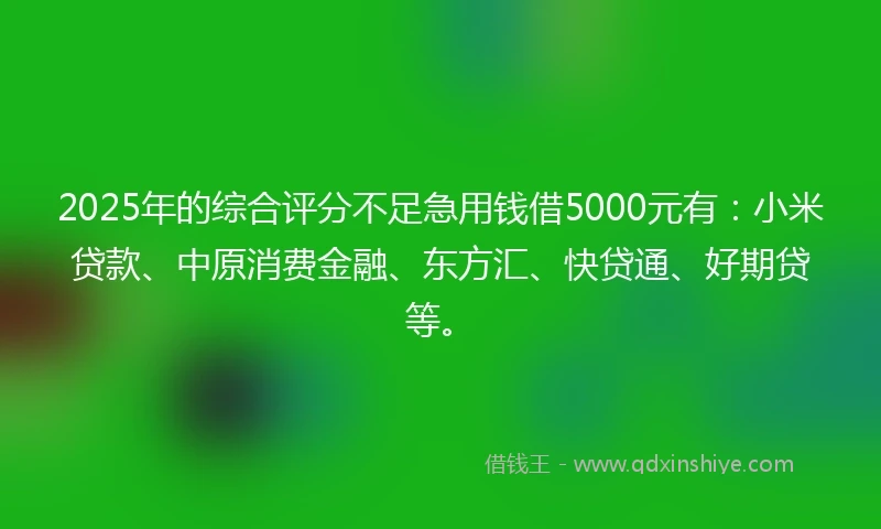 2025年的综合评分不足急用钱借5000元有：小米贷款、中原消费金融、东方汇、快贷通、好期贷等。