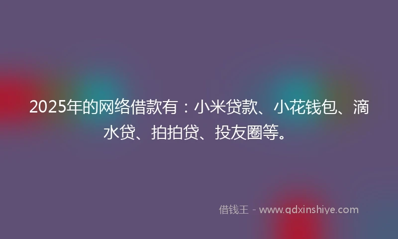 2025年的网络借款有：小米贷款、小花钱包、滴水贷、拍拍贷、投友圈等。