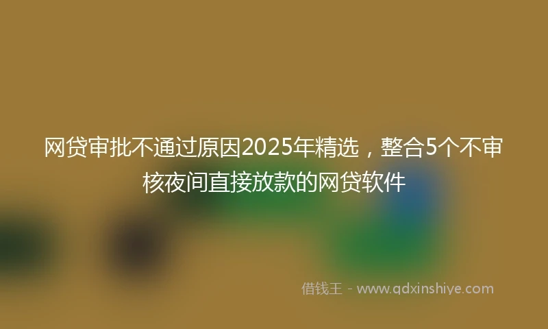 网贷审批不通过原因2025年精选，整合5个不审核夜间直接放款的网贷软件