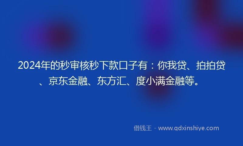 2024年的秒审核秒下款口子有：你我贷、拍拍贷、京东金融、东方汇、度小满金融等。