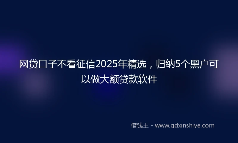 网贷口子不看征信2025年精选，归纳5个黑户可以做大额贷款软件