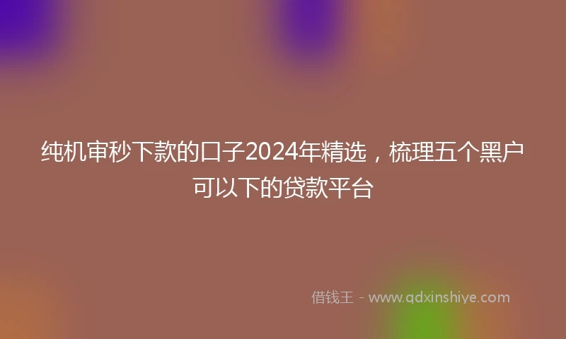 纯机审秒下款的口子2024年精选，梳理五个黑户可以下的贷款平台