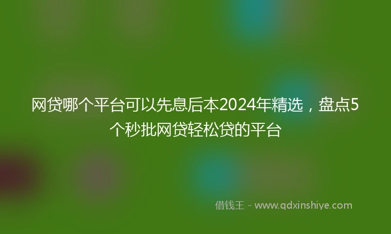 网贷哪个平台可以先息后本2024年精选，盘点5个秒批网贷轻松贷的平台