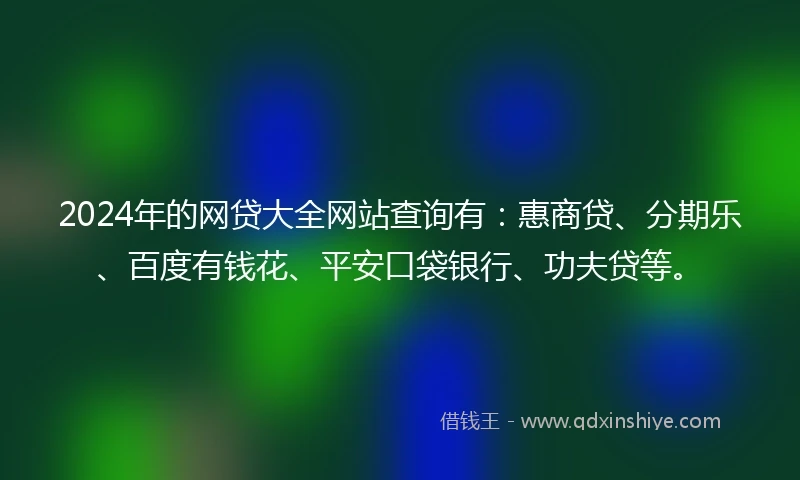 2024年的网贷大全网站查询有：惠商贷、分期乐、百度有钱花、平安口袋银行、功夫贷等。