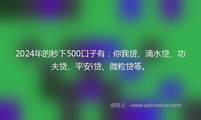 2024年的秒下500口子有：你我贷、滴水贷、功夫贷、平安i贷、微粒贷等。