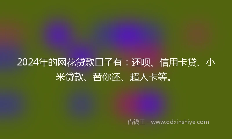 2024年的网花贷款口子有：还呗、信用卡贷、小米贷款、替你还、超人卡等。
