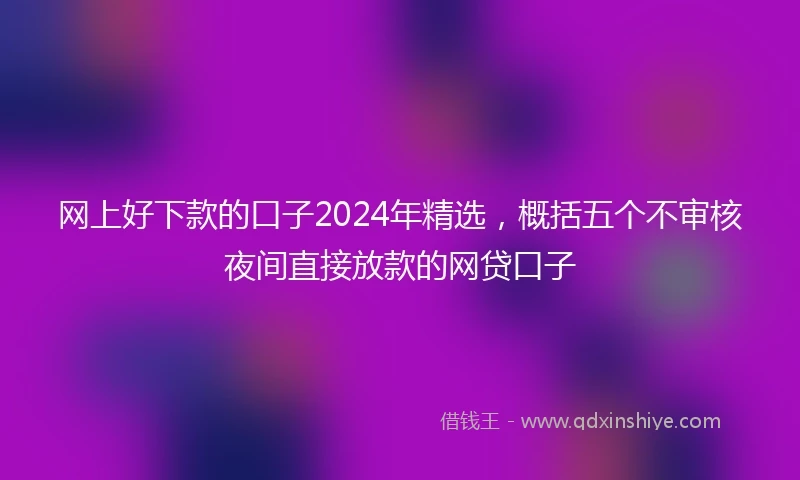 网上好下款的口子2024年精选，概括五个不审核夜间直接放款的网贷口子