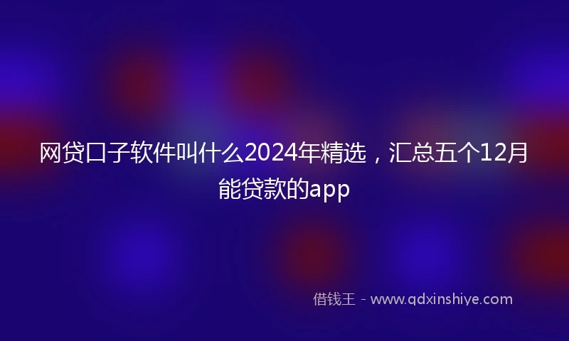 网贷口子软件叫什么2024年精选，汇总五个12月能贷款的app
