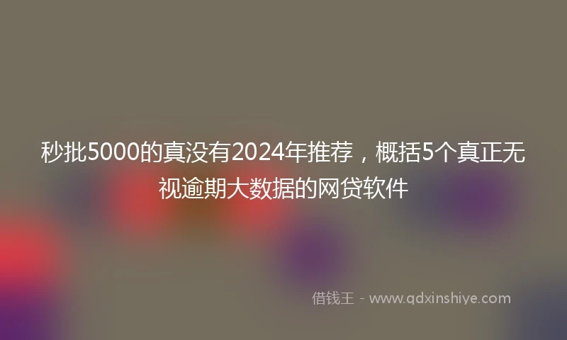 秒批5000的真没有2024年推荐，概括5个真正无视逾期大数据的网贷软件