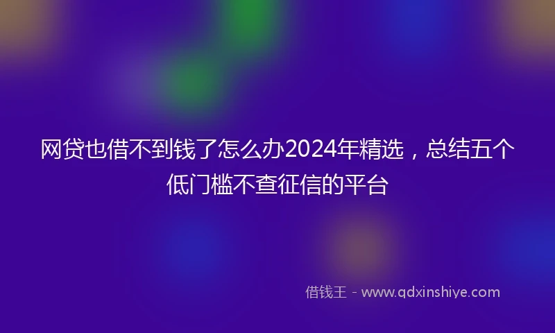 网贷也借不到钱了怎么办2024年精选，总结五个低门槛不查征信的平台