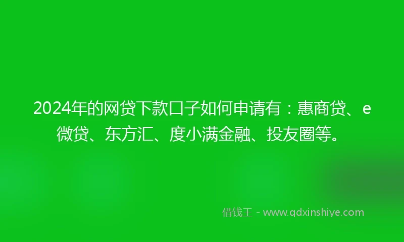 2024年的网贷下款口子如何申请有：惠商贷、e微贷、东方汇、度小满金融、投友圈等。