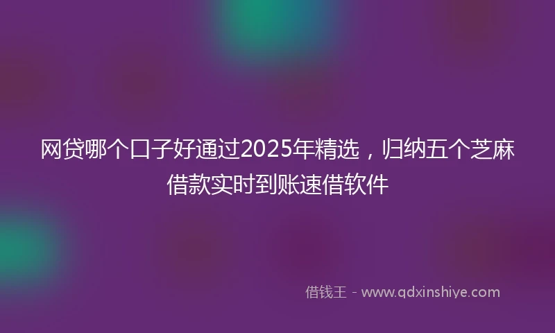 网贷哪个口子好通过2025年精选，归纳五个芝麻借款实时到账速借软件