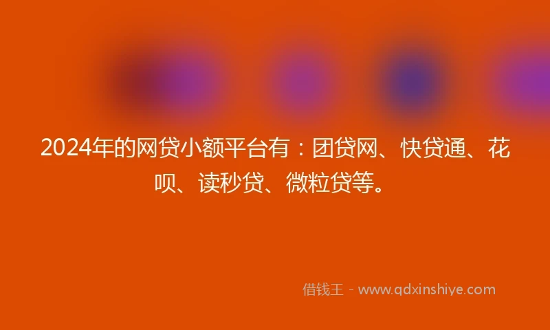 2024年的网贷小额平台有：团贷网、快贷通、花呗、读秒贷、微粒贷等。