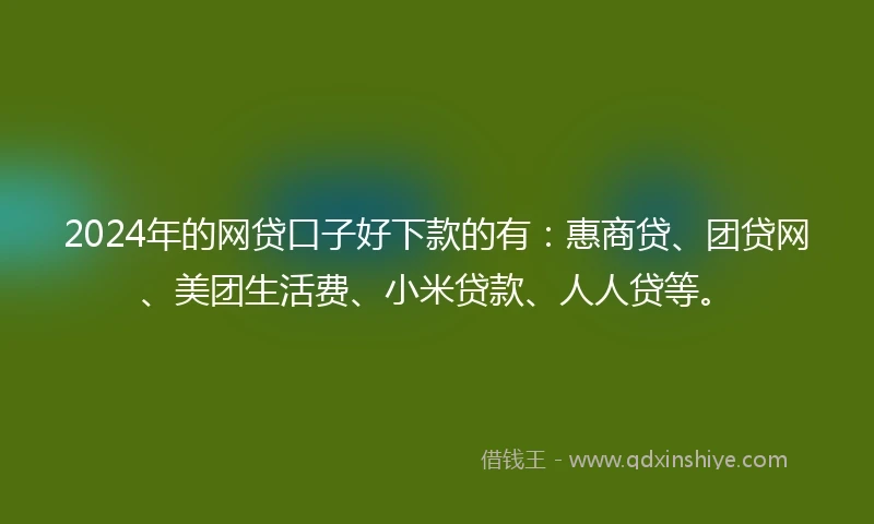 2024年的网贷口子好下款的有：惠商贷、团贷网、美团生活费、小米贷款、人人贷等。