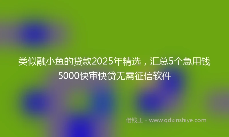 类似融小鱼的贷款2025年精选，汇总5个急用钱5000快审快贷无需征信软件