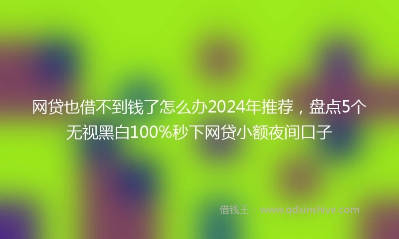 网贷也借不到钱了怎么办2024年推荐，盘点5个无视黑白100%秒下网贷小额夜间口子