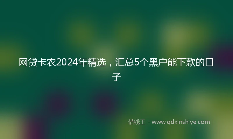网贷卡农2024年精选，汇总5个黑户能下款的口子