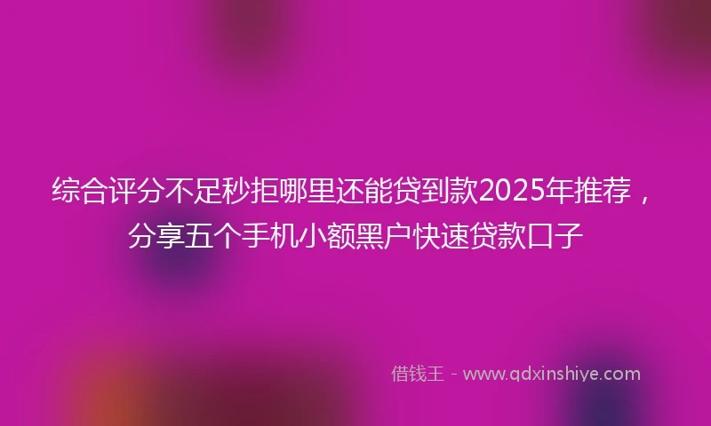 综合评分不足秒拒哪里还能贷到款2025年推荐，分享五个手机小额黑户快速贷款口子