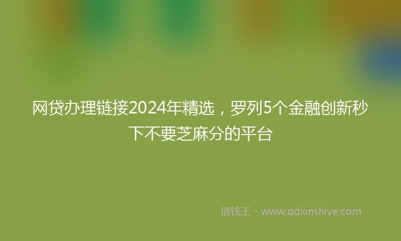 网贷办理链接2024年精选，罗列5个金融创新秒下不要芝麻分的平台