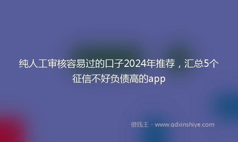 纯人工审核容易过的口子2024年推荐，汇总5个征信不好负债高的app