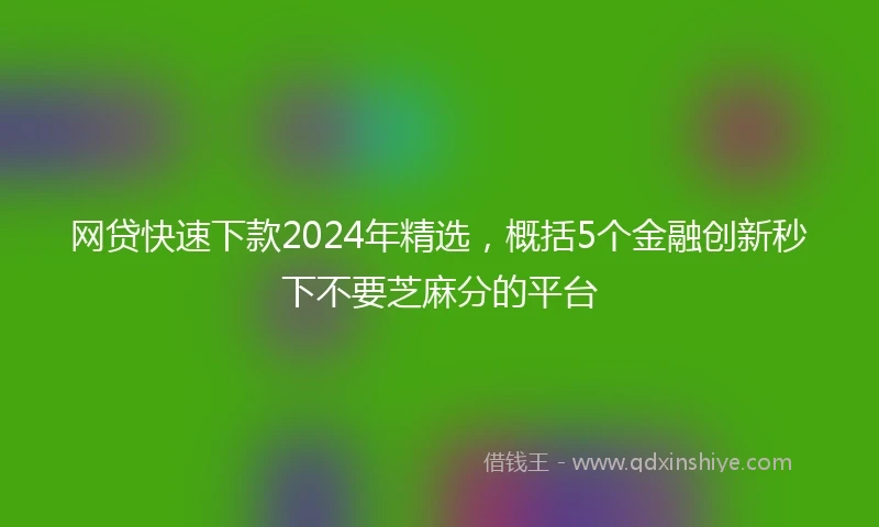 网贷快速下款2024年精选，概括5个金融创新秒下不要芝麻分的平台