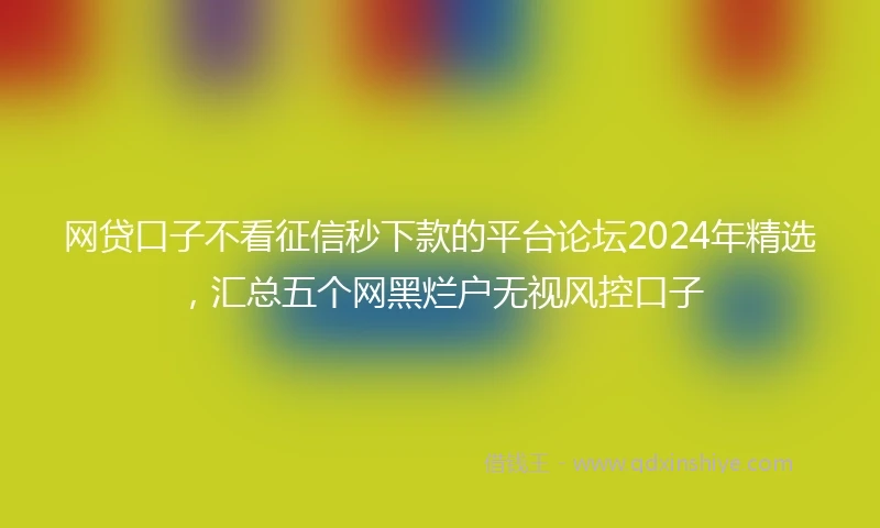 网贷口子不看征信秒下款的平台论坛2024年精选，汇总五个网黑烂户无视风控口子
