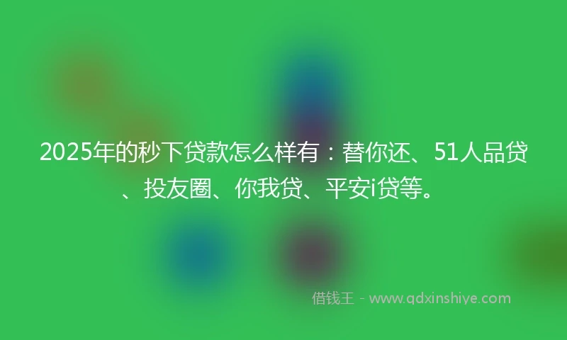 2025年的秒下贷款怎么样有:替你还、51人品贷、投友圈、你我贷、平安i贷等。