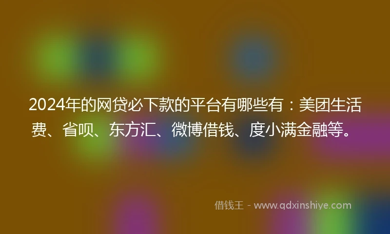 2024年的网贷必下款的平台有哪些有：美团生活费、省呗、东方汇、微博借钱、度小满金融等。