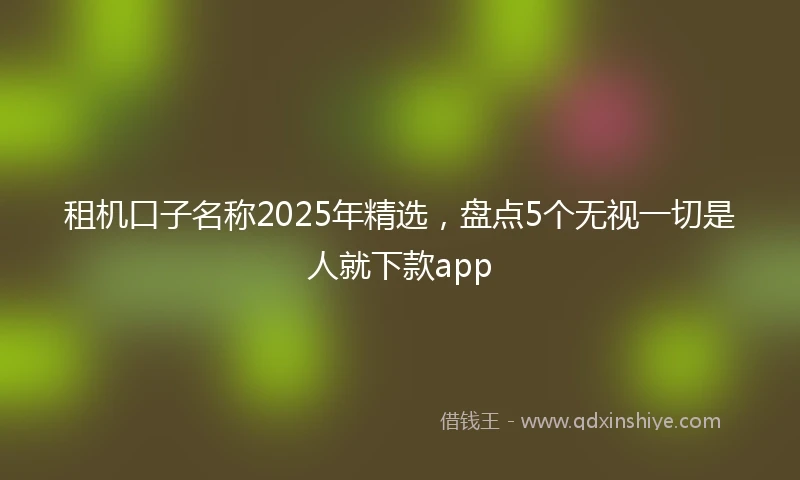 租机口子名称2025年精选，盘点5个无视一切是人就下款app