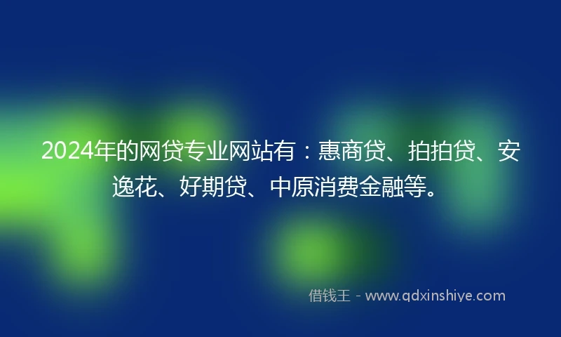 2024年的网贷专业网站有：惠商贷、拍拍贷、安逸花、好期贷、中原消费金融等。