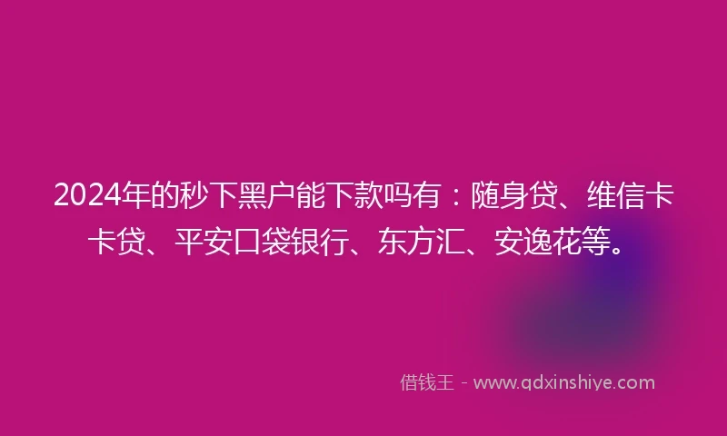 2024年的秒下黑户能下款吗有：随身贷、维信卡卡贷、平安口袋银行、东方汇、安逸花等。