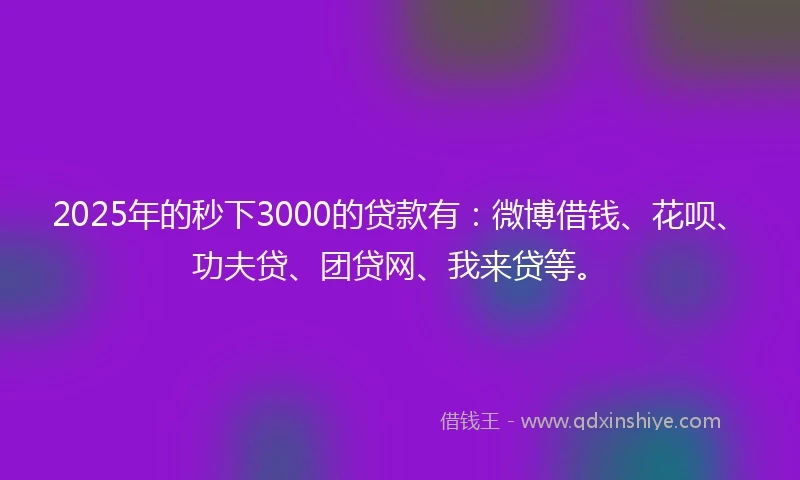 2025年的秒下3000的贷款有：微博借钱、花呗、功夫贷、团贷网、我来贷等。