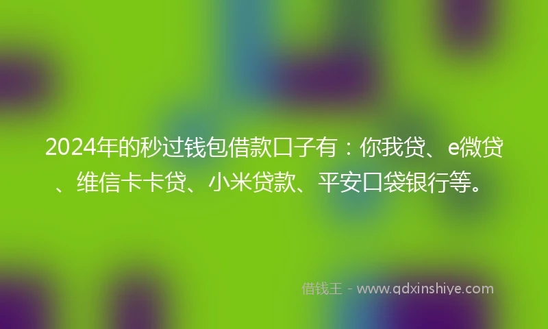 2024年的秒过钱包借款口子有：你我贷、e微贷、维信卡卡贷、小米贷款、平安口袋银行等。