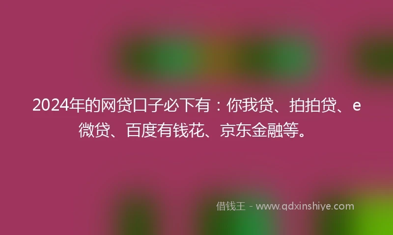2024年的网贷口子必下有：你我贷、拍拍贷、e微贷、百度有钱花、京东金融等。